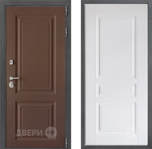 Входная металлическая Дверь Дверной континент ДК-3/729 ФЛ-243 Альберо Браш серебро в Коломне